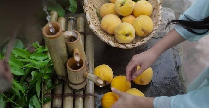 李子柒家房子全景曝光，对比叔叔家房子，网友：典型农村大户人家