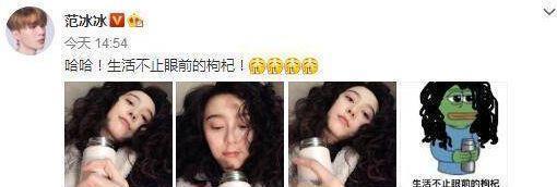 范冰冰微博头像用范丞丞，网友：李晨会妒忌，是不是家庭地位低！
