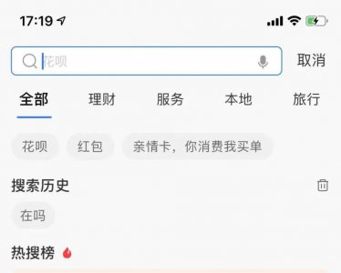 ​支付宝搜索在吗什么梗