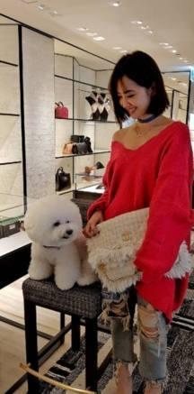 蔡依林尝试新发型剪短了她的发 30多岁的人瞬间回归18岁学生妹