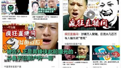 ​斗鱼原户外主播“339”一审获刑6年……