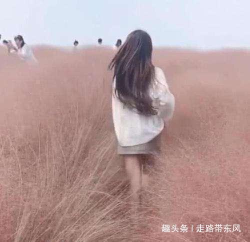 杭州抖音网红打卡地标“花海”三天被毁，网友问为什么不收门票？