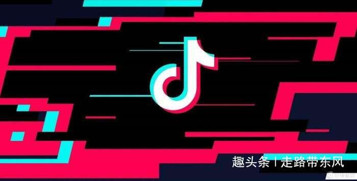 杭州抖音网红打卡地标“花海”三天被毁，网友问为什么不收门票？