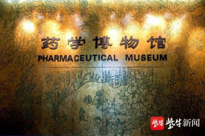 ​马王堆汉墓中的辛追夫人为何能千年肉身不腐？秘密就在这个“防腐药包”里