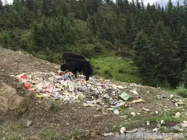最美天路垃圾成山，怎么会变这样，是谁之过？