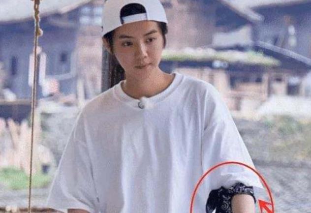 有纹身怎么上节目？明星们各显神通，吴尊简单粗暴