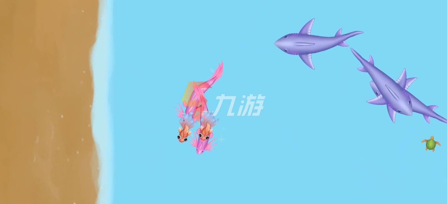 附件1640846660.jpg