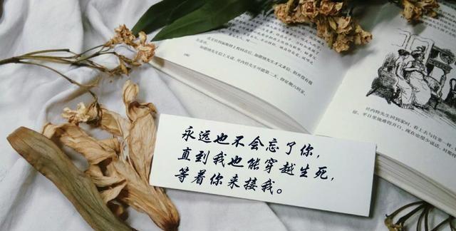 priest《游 医》：平生不会相思，才会相思，便害相思