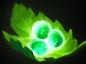 dota2娜迦海妖怎么出装?娜迦海妖出装搭配分析