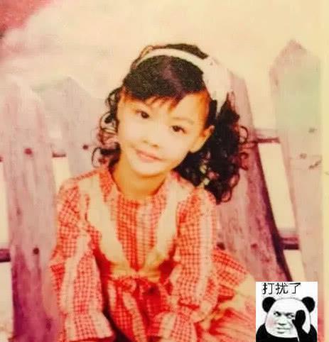 韩安冉童年照有港星气质，如今却成“整容脸”，对美有什么误解？