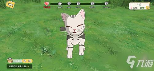 小森生活猫咪养成计划做法介绍