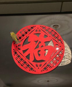 ​屡传婚变！41岁TVB最索人妻晒年夜饭，老公时隔一年返港未见身影