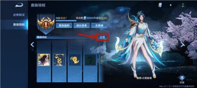 ​王者荣耀v10怎么共享皮肤