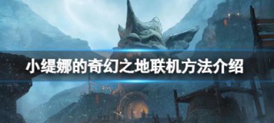 ​小缇娜的奇幻之地应该怎么联机呢
