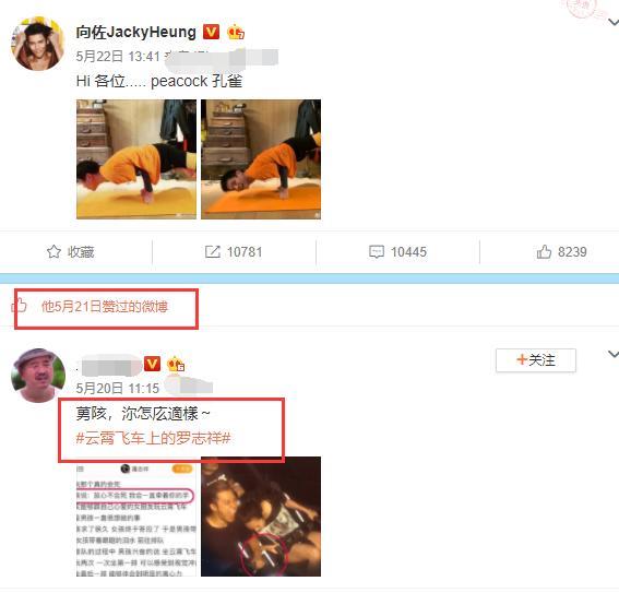 向佐疑公开郭碧婷怀孕消息，点赞博文暗讽罗志祥撒谎成性？