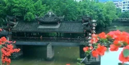 乐山这片花海美爆了！整整30000㎡，虞美人、黄金菊…打卡正当时