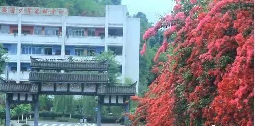 乐山这片花海美爆了！整整30000㎡，虞美人、黄金菊…打卡正当时