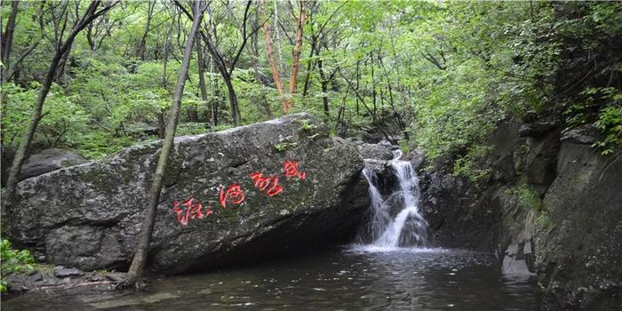 乐山这片花海美爆了！整整30000㎡，虞美人、黄金菊…打卡正当时