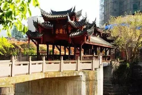 乐山这片花海美爆了！整整30000㎡，虞美人、黄金菊…打卡正当时