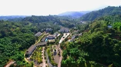 乐山这片花海美爆了！整整30000㎡，虞美人、黄金菊…打卡正当时