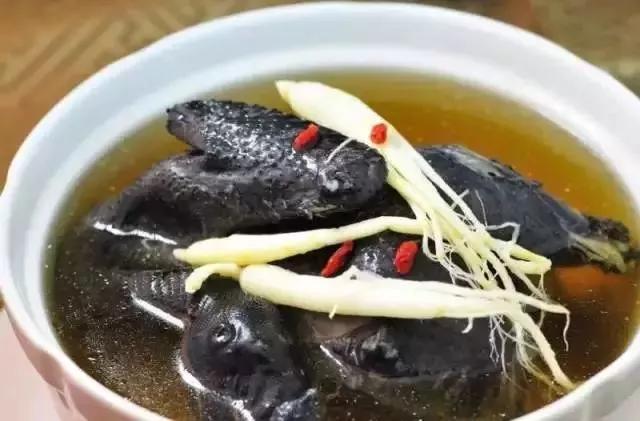 乐山这片花海美爆了！整整30000㎡，虞美人、黄金菊…打卡正当时