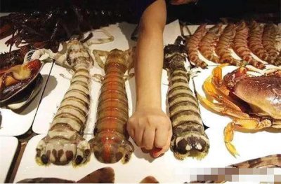 ​这种能徒手碎玻璃的皮皮虾，吃一只顶一餐，还能让你心疼一个月