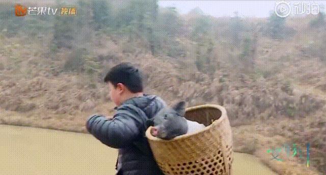 杜华儿子总裁范儿十足，妙语连珠幽默感爆棚，网友纷纷路转粉