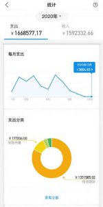 ​支付宝年度账单大额图片