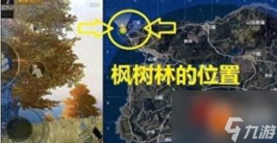 ​刺激战场野餐点 刺激战场野餐介绍