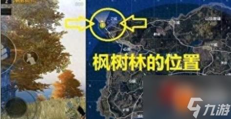 刺激战场野餐点(刺激战场野餐介绍)