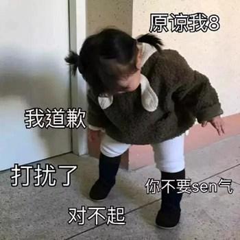搞笑图片：我道歉，打扰了，对不起，你不要生气，原谅我8