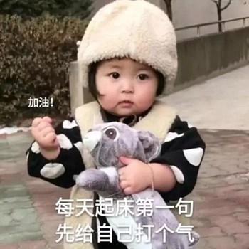 搞笑图片：我道歉，打扰了，对不起，你不要生气，原谅我8