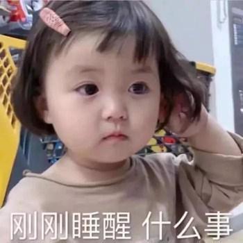 搞笑图片：我道歉，打扰了，对不起，你不要生气，原谅我8