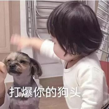 搞笑图片：我道歉，打扰了，对不起，你不要生气，原谅我8