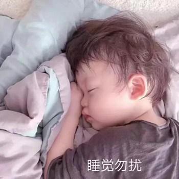 搞笑图片：我道歉，打扰了，对不起，你不要生气，原谅我8
