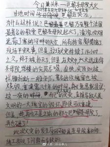 ​关于法国巴黎圣母院失火