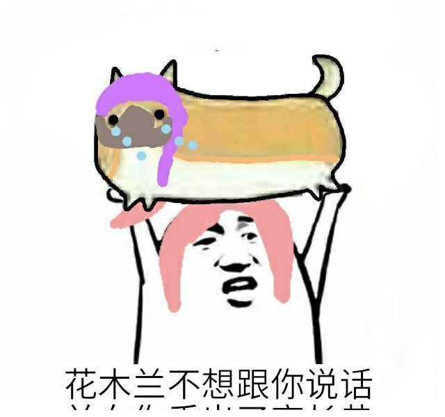 王者荣耀：搞笑，斗图必杀计