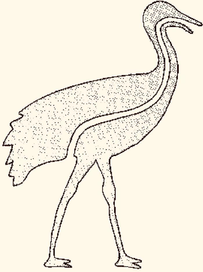 蚂蚁是二维生物吗？是否可能存在高维生物在观察着我们？