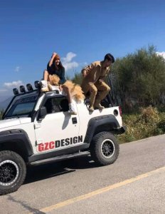​网红莎莎拍婚纱照，大叔从车上一跃而下，这姿势撩倒多少迷妹啊