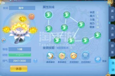 ​神武手游普陀法抗怎么加强（神武手游普陀要速度吗)