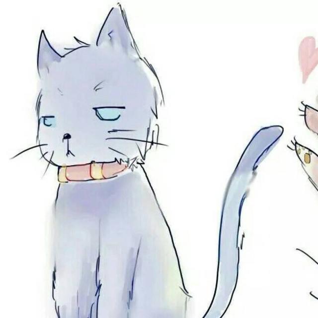 这一波猫咪情侣头像，我已经把无水印版本找出来