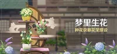 ​原神梦里生花怎么种花