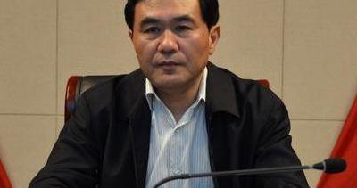 张爱萍简历（张爱平简介）