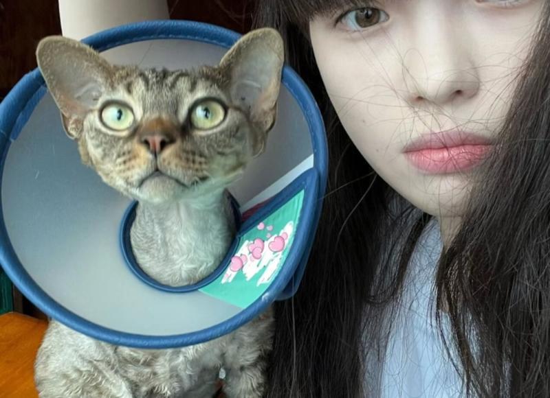 女生天天找我聊天是喜欢我么(一个妹子天天主动找我聊天)