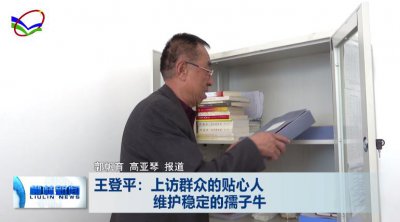 ​王登平：上访群众的贴心人 维护稳定的孺子牛