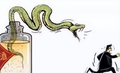 ​蛇酒变蛇洗澡水！活蛇泡酒隐患大，毒蛇被泡白酒3个月复活伤人