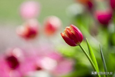 ​从不化妆的女人，有以下特征，她们才是真的厉害