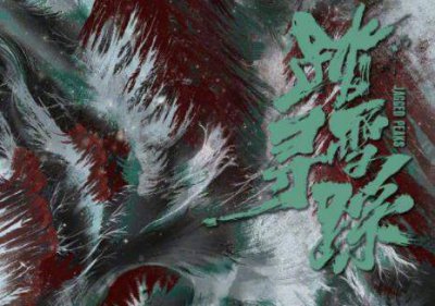 ​踏雪寻踪人物角色介绍-踏雪寻踪剧情介绍