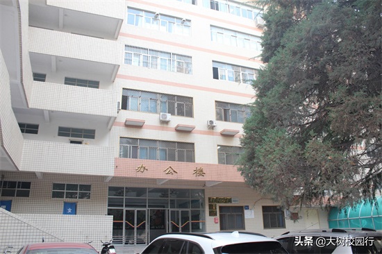 《大树校园行》之河南工程学院（桐柏路校区）