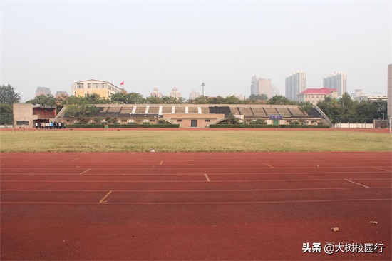 《大树校园行》之河南工程学院（桐柏路校区）